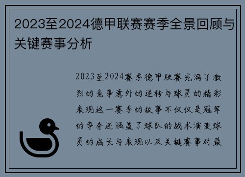 2023至2024德甲联赛赛季全景回顾与关键赛事分析